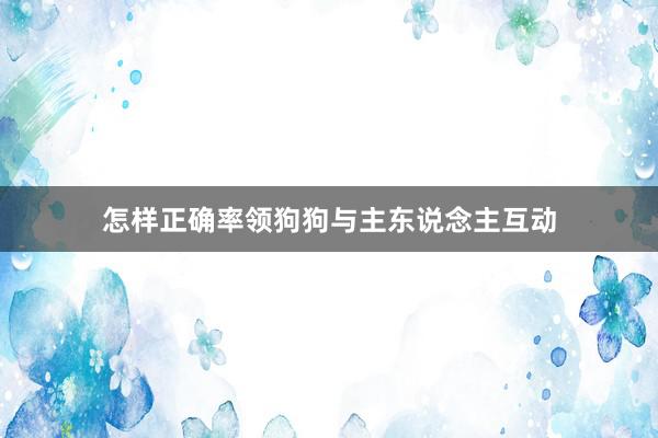 怎样正确率领狗狗与主东说念主互动